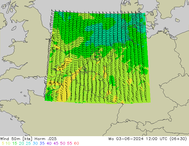 Rüzgar 50 m Harm .025 Pzt 03.06.2024 12 UTC