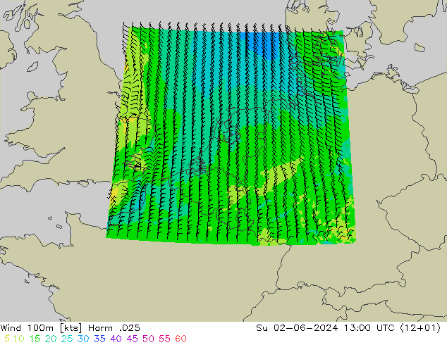 ветер 900 гПа Harm .025 Вс 02.06.2024 13 UTC