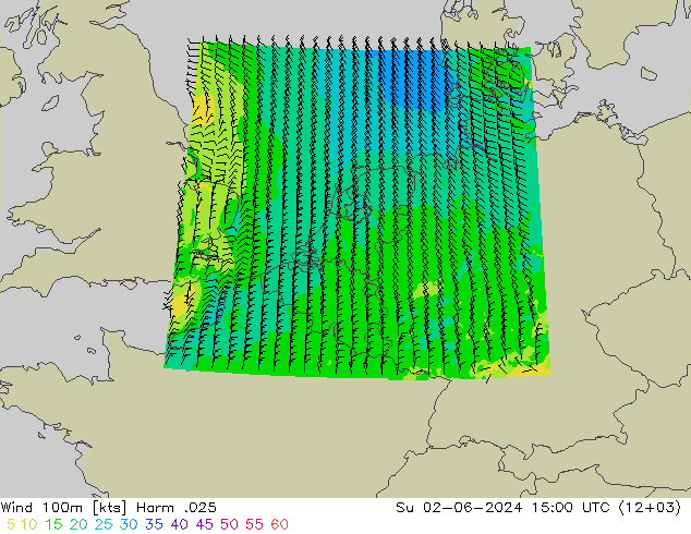 Wind 100m Harm .025 So 02.06.2024 15 UTC