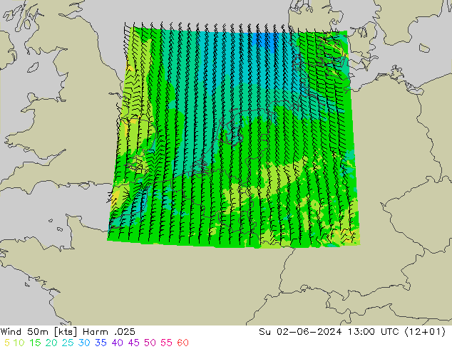 Wind 50 m Harm .025 zo 02.06.2024 13 UTC