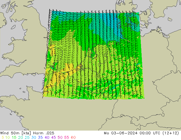 Wind 50m Harm .025 Po 03.06.2024 00 UTC