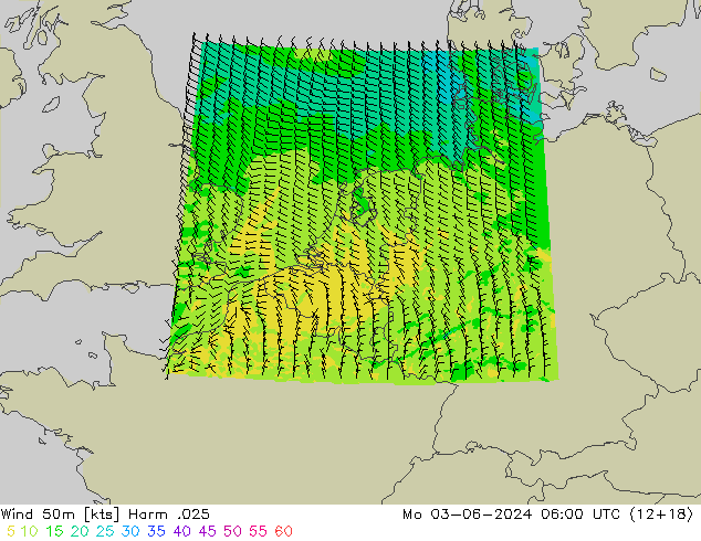 Wind 50 m Harm .025 ma 03.06.2024 06 UTC