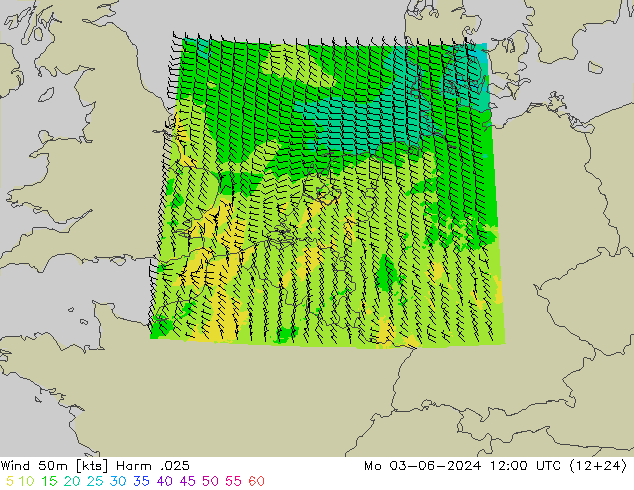 风 50 米 Harm .025 星期一 03.06.2024 12 UTC