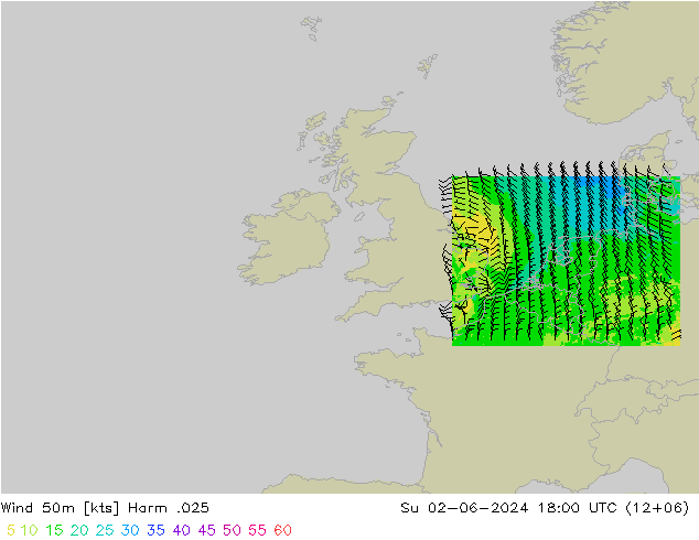 Wind 50m Harm .025 So 02.06.2024 18 UTC