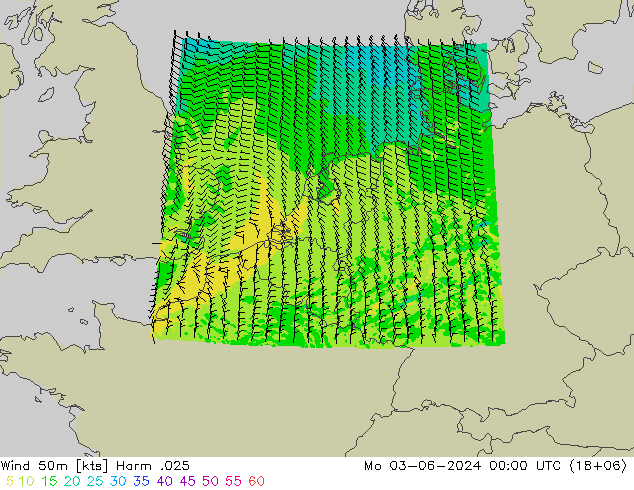 Wind 50m Harm .025 Mo 03.06.2024 00 UTC