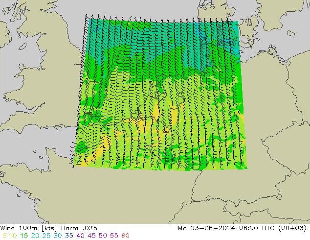 风 100m Harm .025 星期一 03.06.2024 06 UTC