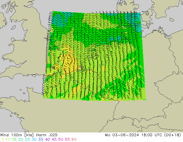 Viento 100m Harm .025 lun 03.06.2024 18 UTC