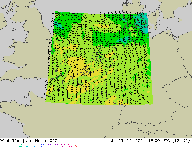 风 50 米 Harm .025 星期一 03.06.2024 18 UTC