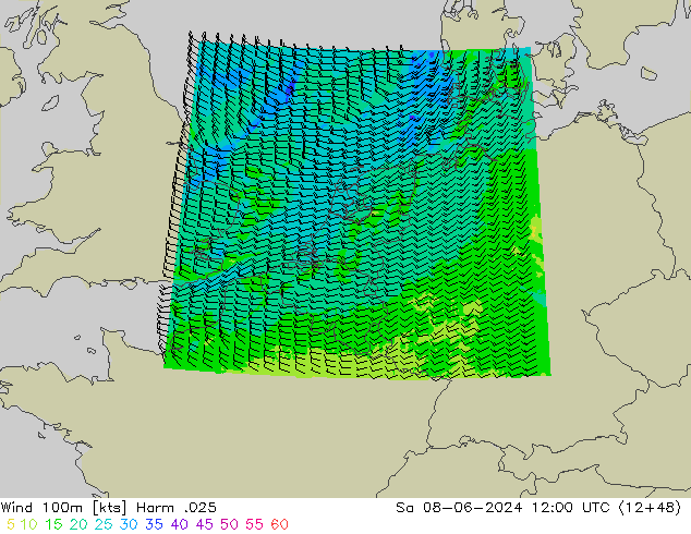 Vento 100m Harm .025 sab 08.06.2024 12 UTC