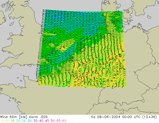 Wind 50m Harm .025 Sa 08.06.2024 00 UTC