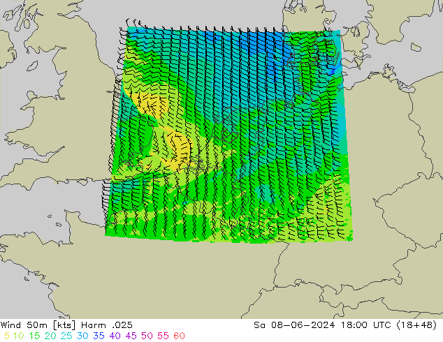 Wind 50m Harm .025 Sa 08.06.2024 18 UTC