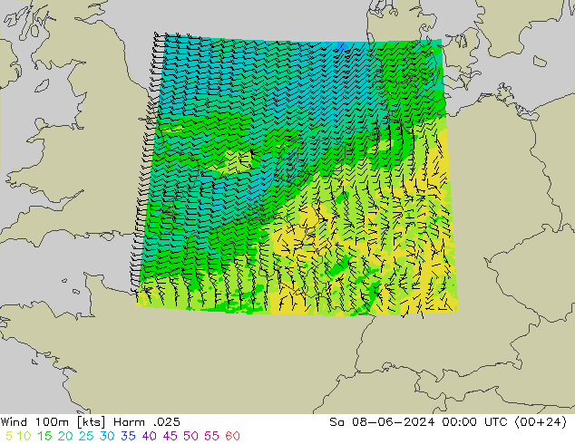 Wind 100m Harm .025 Sa 08.06.2024 00 UTC