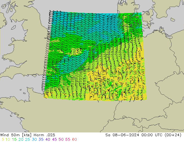 Vento 50 m Harm .025 sab 08.06.2024 00 UTC