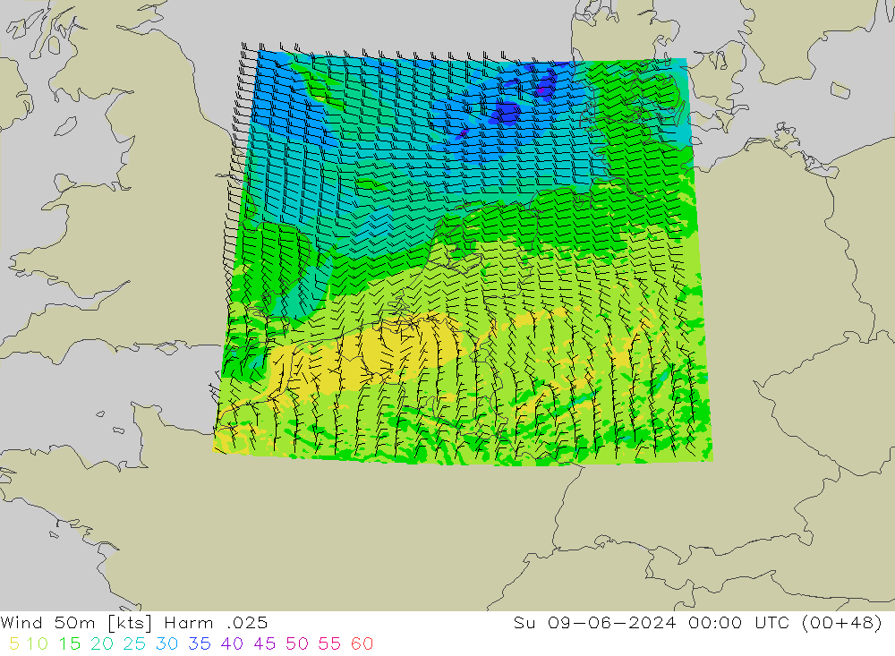 Viento 50 m Harm .025 dom 09.06.2024 00 UTC