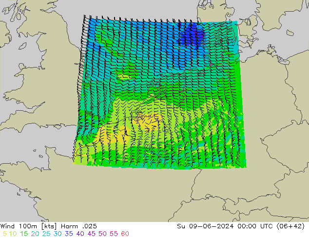 Wind 100m Harm .025 Ne 09.06.2024 00 UTC