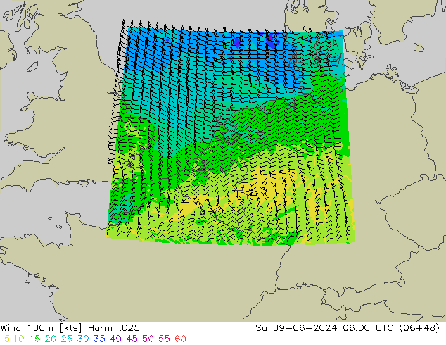 Vent 100m Harm .025 dim 09.06.2024 06 UTC