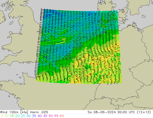 Wind 100m Harm .025 Sa 08.06.2024 00 UTC