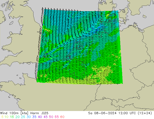 Viento 100m Harm .025 sáb 08.06.2024 12 UTC