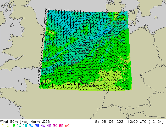 Wind 50m Harm .025 Sa 08.06.2024 12 UTC