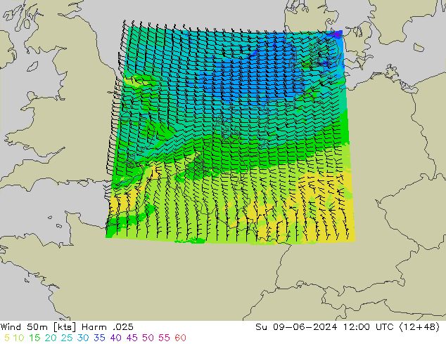 Wind 50m Harm .025 Su 09.06.2024 12 UTC