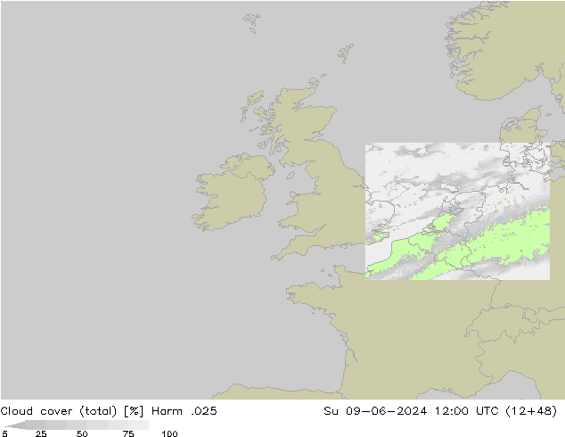 Cloud cover (total) Harm .025 Su 09.06.2024 12 UTC