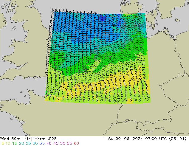 风 50 米 Harm .025 星期日 09.06.2024 07 UTC