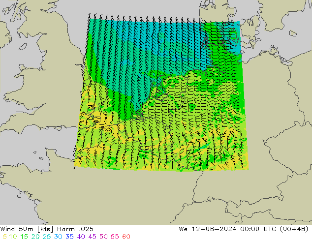 Wind 50m Harm .025 We 12.06.2024 00 UTC