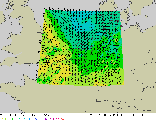 ветер 900 гПа Harm .025 ср 12.06.2024 15 UTC