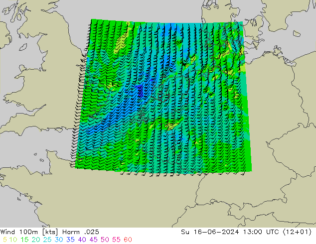 Wind 100m Harm .025 zo 16.06.2024 13 UTC
