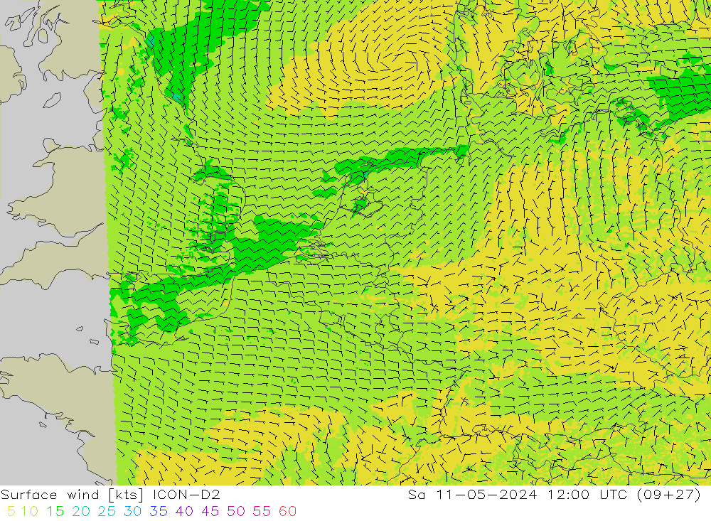  10 m ICON-D2  11.05.2024 12 UTC