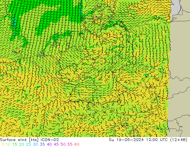Bodenwind ICON-D2 So 19.05.2024 12 UTC