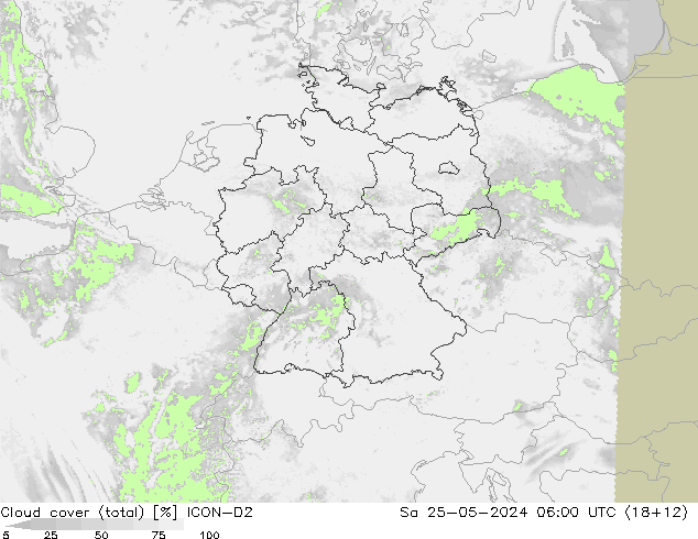 Bulutlar (toplam) ICON-D2 Cts 25.05.2024 06 UTC