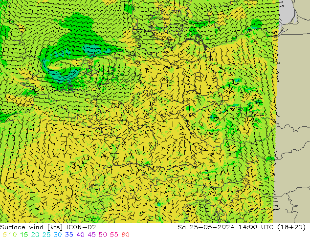 ветер 10 m ICON-D2 сб 25.05.2024 14 UTC