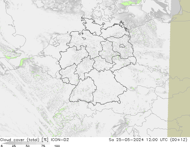 Bewolking (Totaal) ICON-D2 za 25.05.2024 12 UTC