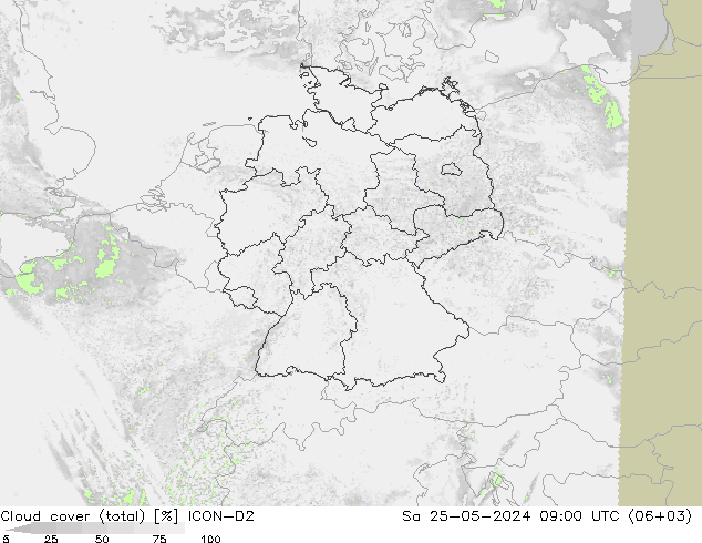 Cloud cover (total) ICON-D2 Sa 25.05.2024 09 UTC