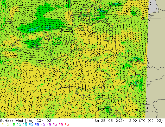 Vento 10 m ICON-D2 sab 25.05.2024 12 UTC