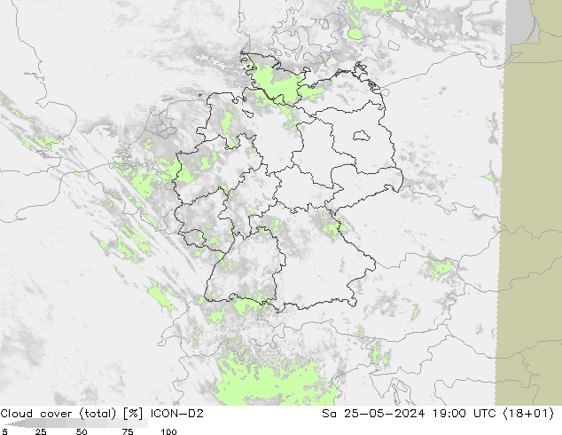 Bulutlar (toplam) ICON-D2 Cts 25.05.2024 19 UTC