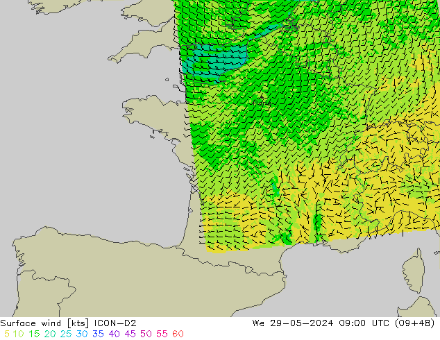 ветер 10 m ICON-D2 ср 29.05.2024 09 UTC