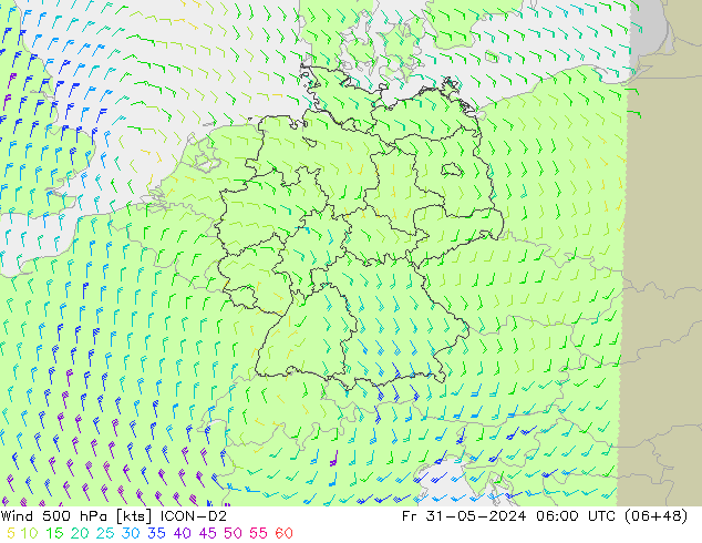 Rüzgar 500 hPa ICON-D2 Cu 31.05.2024 06 UTC