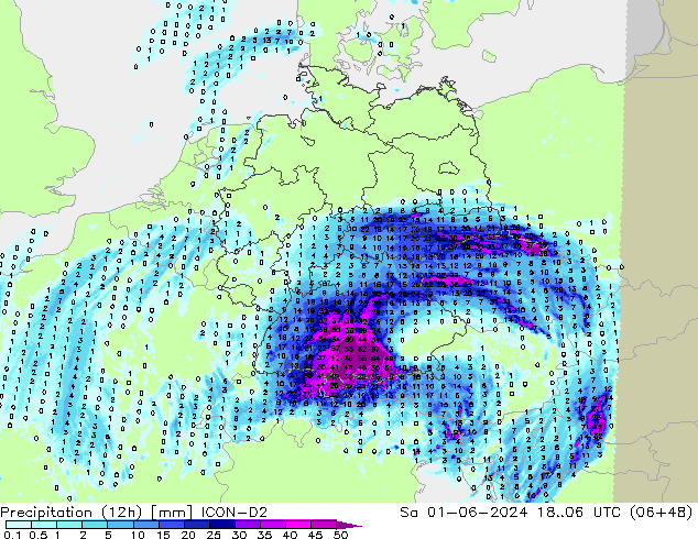 Precipitation (12h) ICON-D2 So 01.06.2024 06 UTC