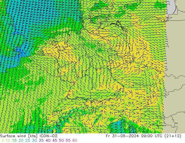 ветер 10 m ICON-D2 пт 31.05.2024 09 UTC