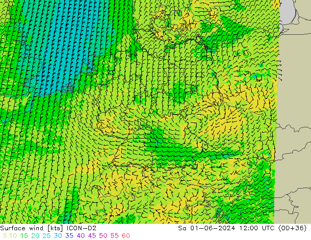 Surface wind ICON-D2 Sa 01.06.2024 12 UTC