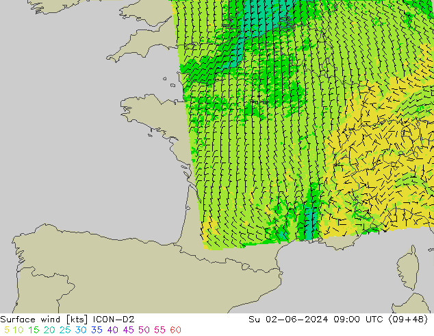ветер 10 m ICON-D2 Вс 02.06.2024 09 UTC