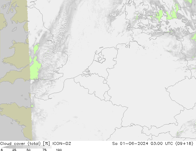 Cloud cover (total) ICON-D2 Sa 01.06.2024 03 UTC
