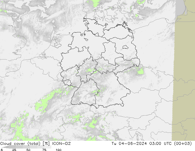 Cloud cover (total) ICON-D2 Tu 04.06.2024 03 UTC