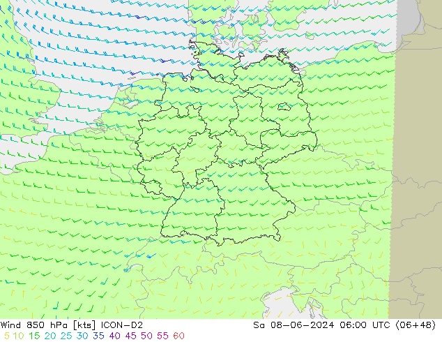 wiatr 850 hPa ICON-D2 so. 08.06.2024 06 UTC