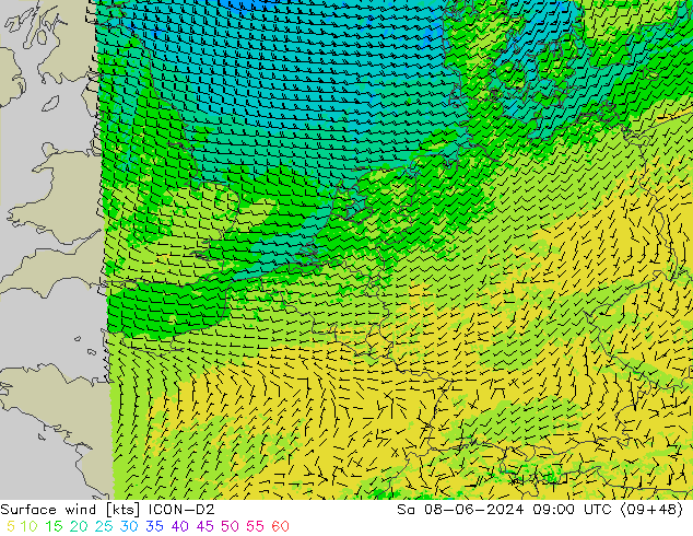  10 m ICON-D2  08.06.2024 09 UTC