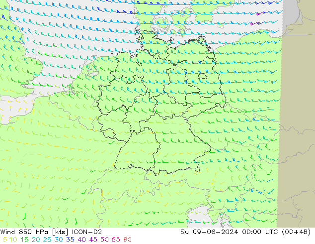 Vento 850 hPa ICON-D2 Dom 09.06.2024 00 UTC