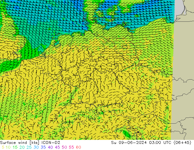 ветер 10 m ICON-D2 Вс 09.06.2024 03 UTC