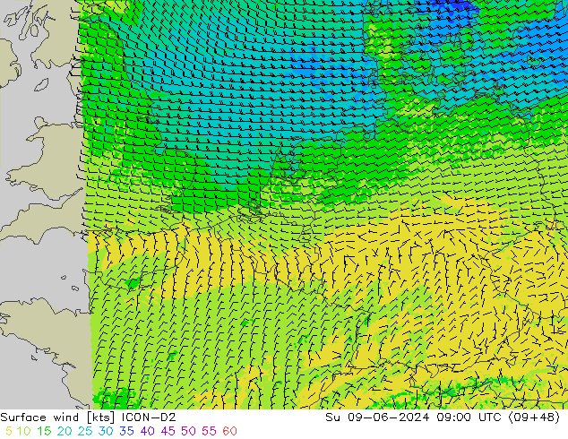ветер 10 m ICON-D2 Вс 09.06.2024 09 UTC